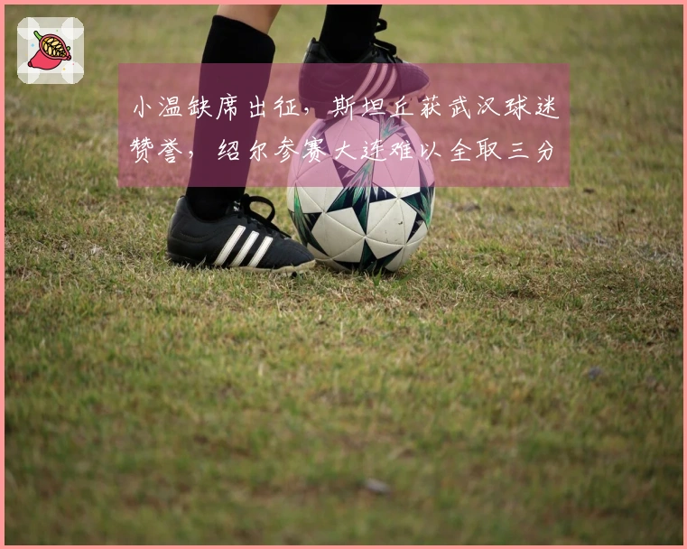小温缺席出征，斯坦丘获武汉球迷赞誉，绍尔参赛大连难以全取三分